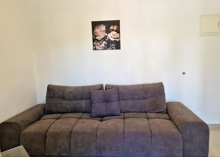 Amra In For Max 27 Persons